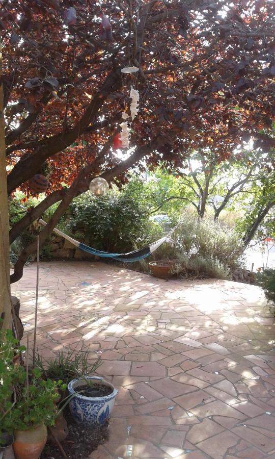 Fitou Atelier Pasquer Bed & Breakfast エクステリア 写真