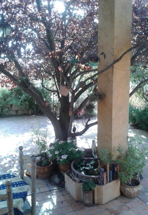 Fitou Atelier Pasquer Bed & Breakfast エクステリア 写真